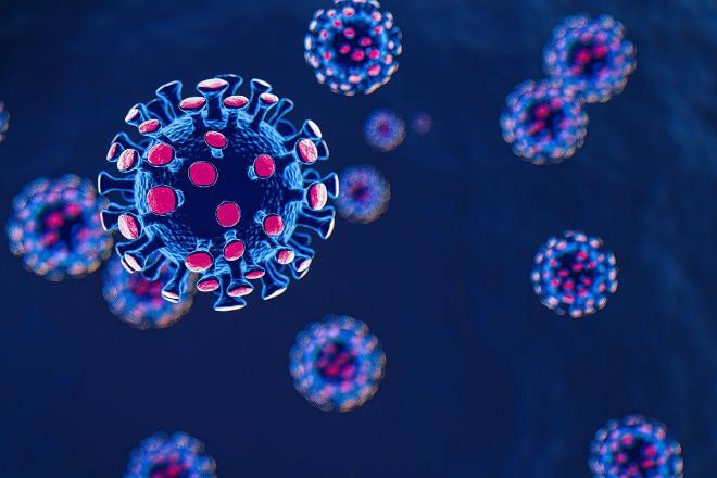 1620920345930-660x440-1