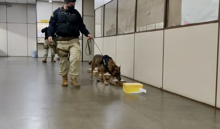 6fdb8c67-5cab-40b5-acf7-c911496b2292