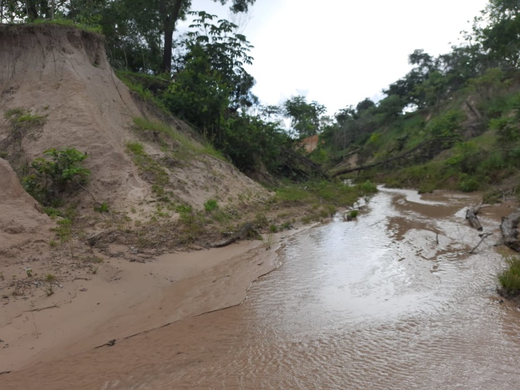 Erosao-Figueirao-Costa-Rica-12-fev-de-2021