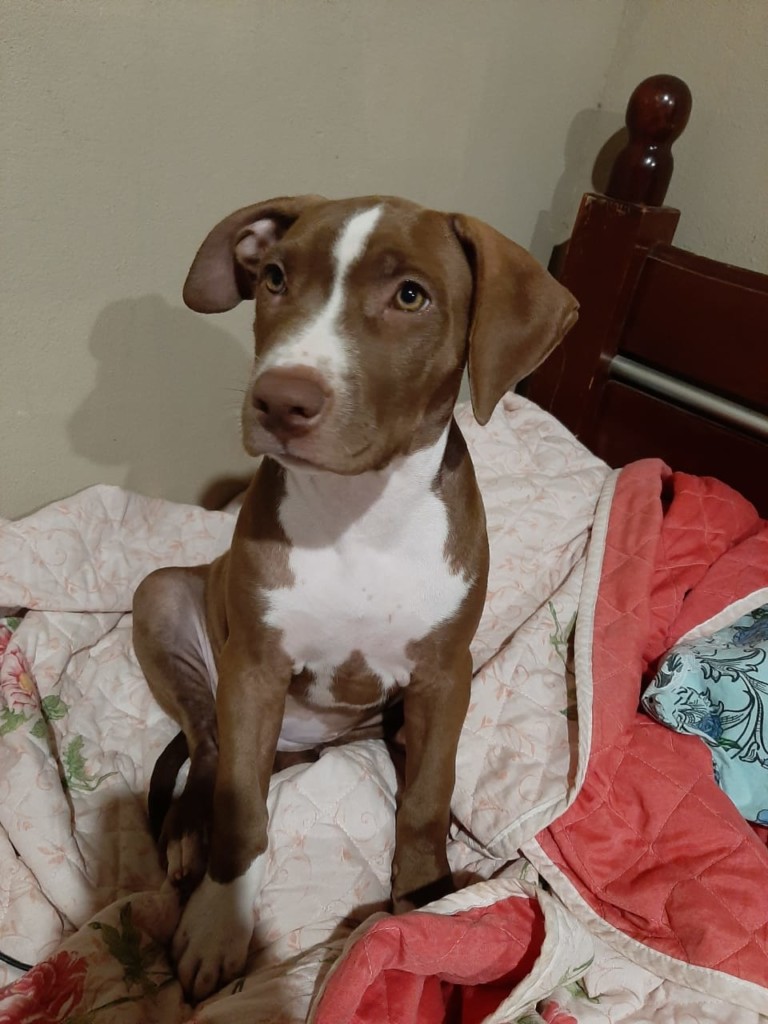 WhatsApp-Image-2021-04-25-at-10.22.29