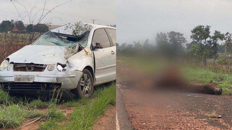 acidente_cavalo_widelg