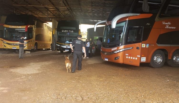 busca-caes-operacaoPF-e1611238896325-750x430-1