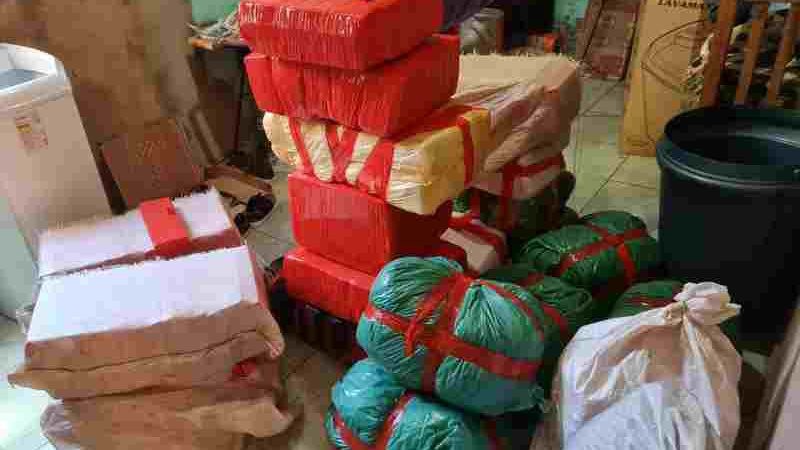 daltro_maconha_1._QrZ1htE_widelg