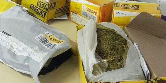 droga_tvPhkhh_widelg