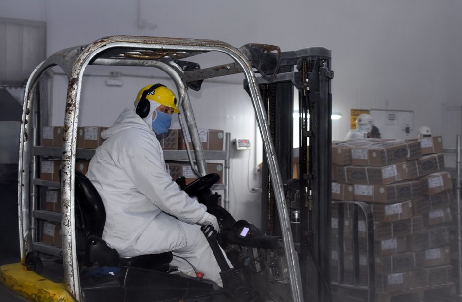 fotozempregozindustriaz3_1