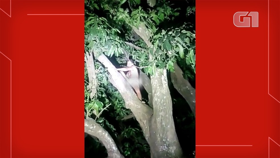 g1-28-06-homem-preso-em-cima-da-arvore-1