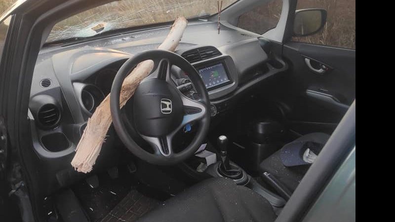 tora_de_madeira_carro_rio_pardo_widelg