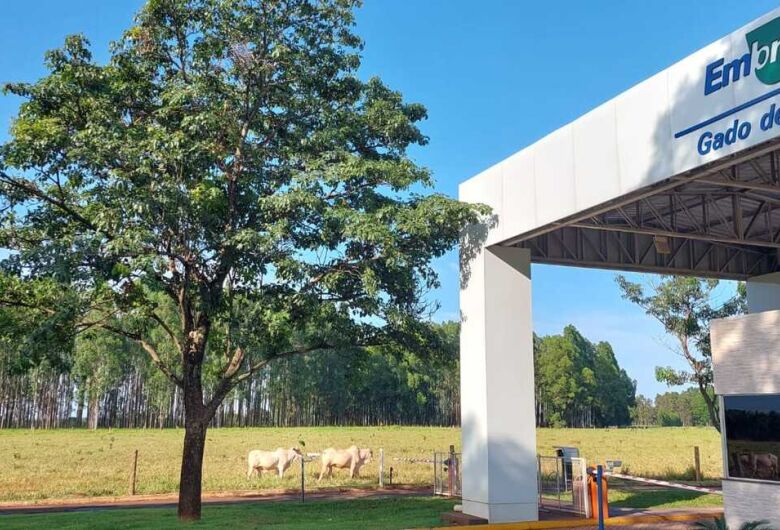 whatsapp-image-2023-02-17-at-060953-1