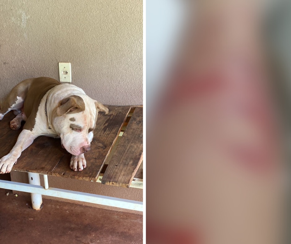 WhatsApp Image 2023-03-14 at 17.26.34