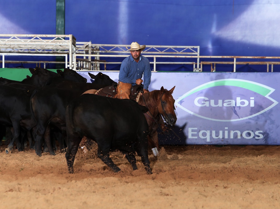 Imagem do WhatsApp de 2023-04-13 à(s) 10.15.59