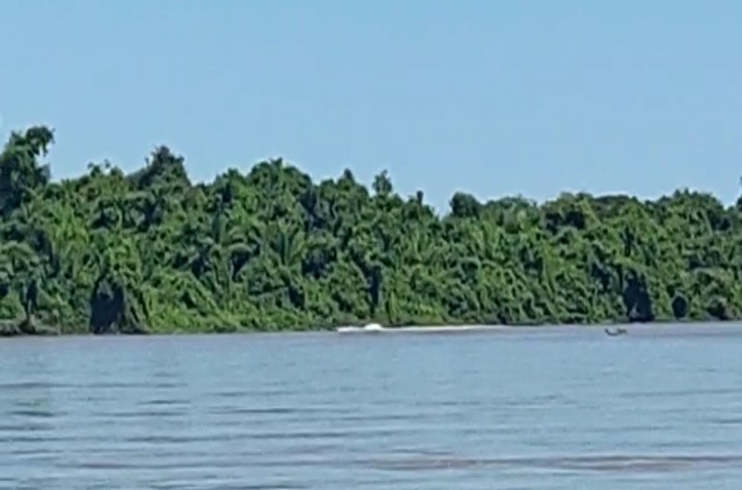pesca coxim
