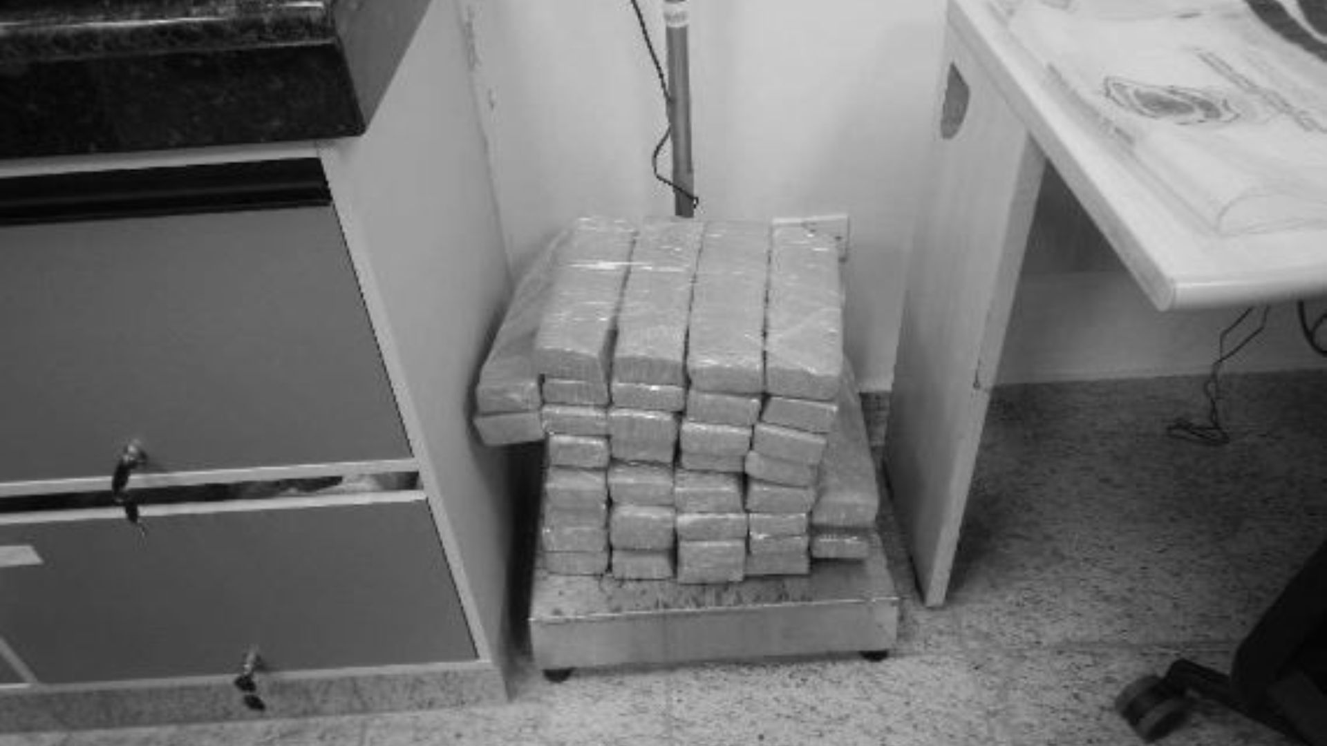 Design-sem-nome-17 (1)