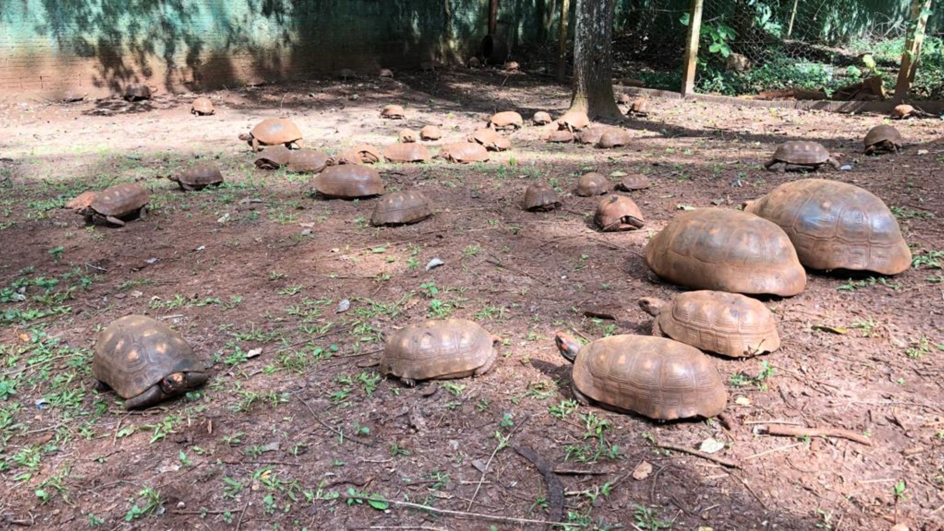 Collage-Maker-22-Jun-2023-11-44-AM-6822 (1)