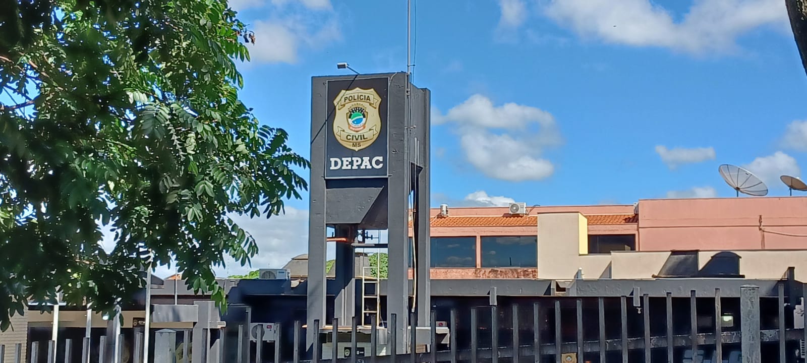 Depac-grade