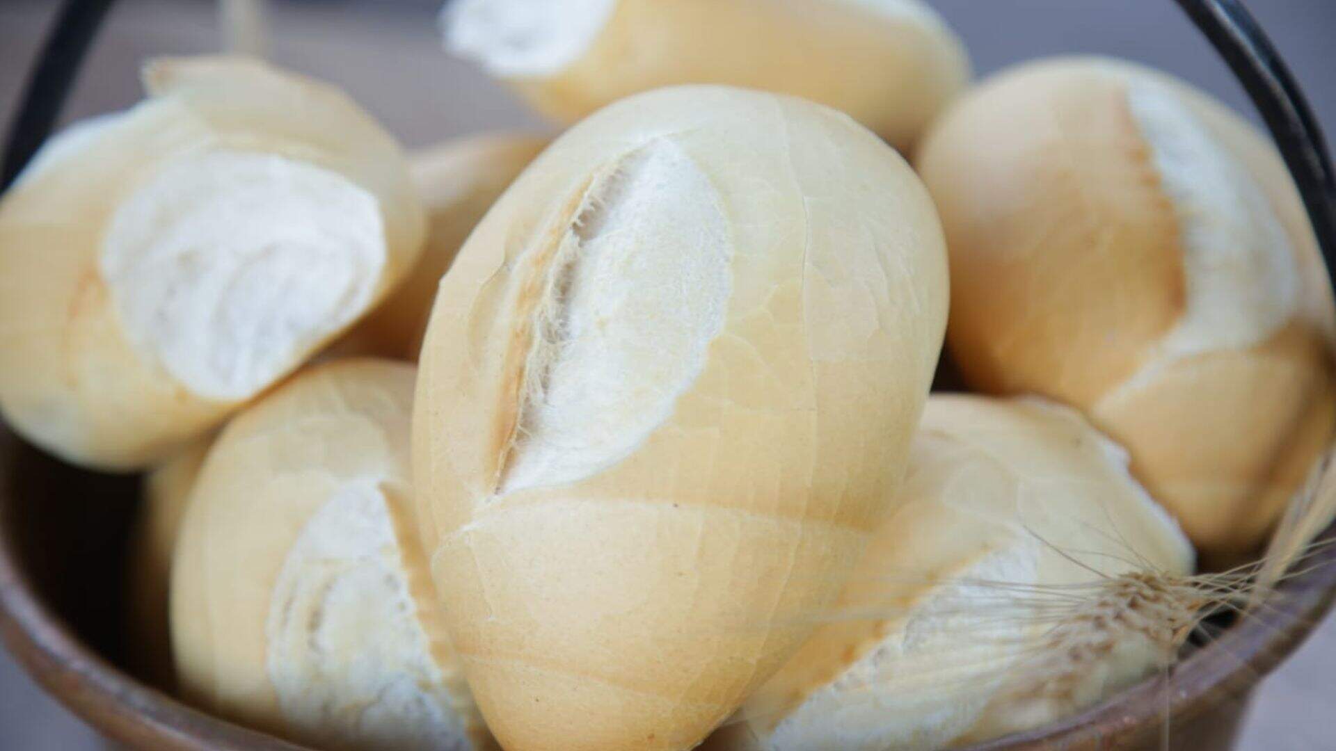 Padrao-Capa-Site-40 (1)