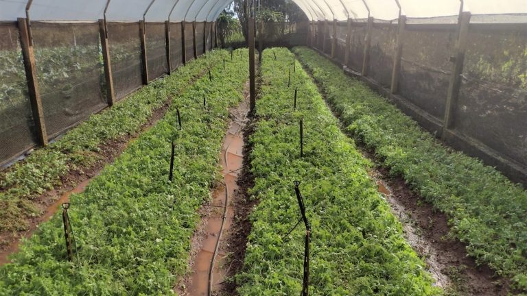 WhatsApp_Image_2023-07-12_at_13.24.47 (1)