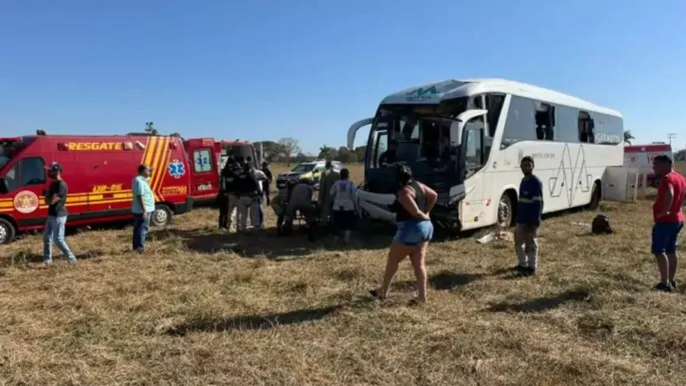 onibus