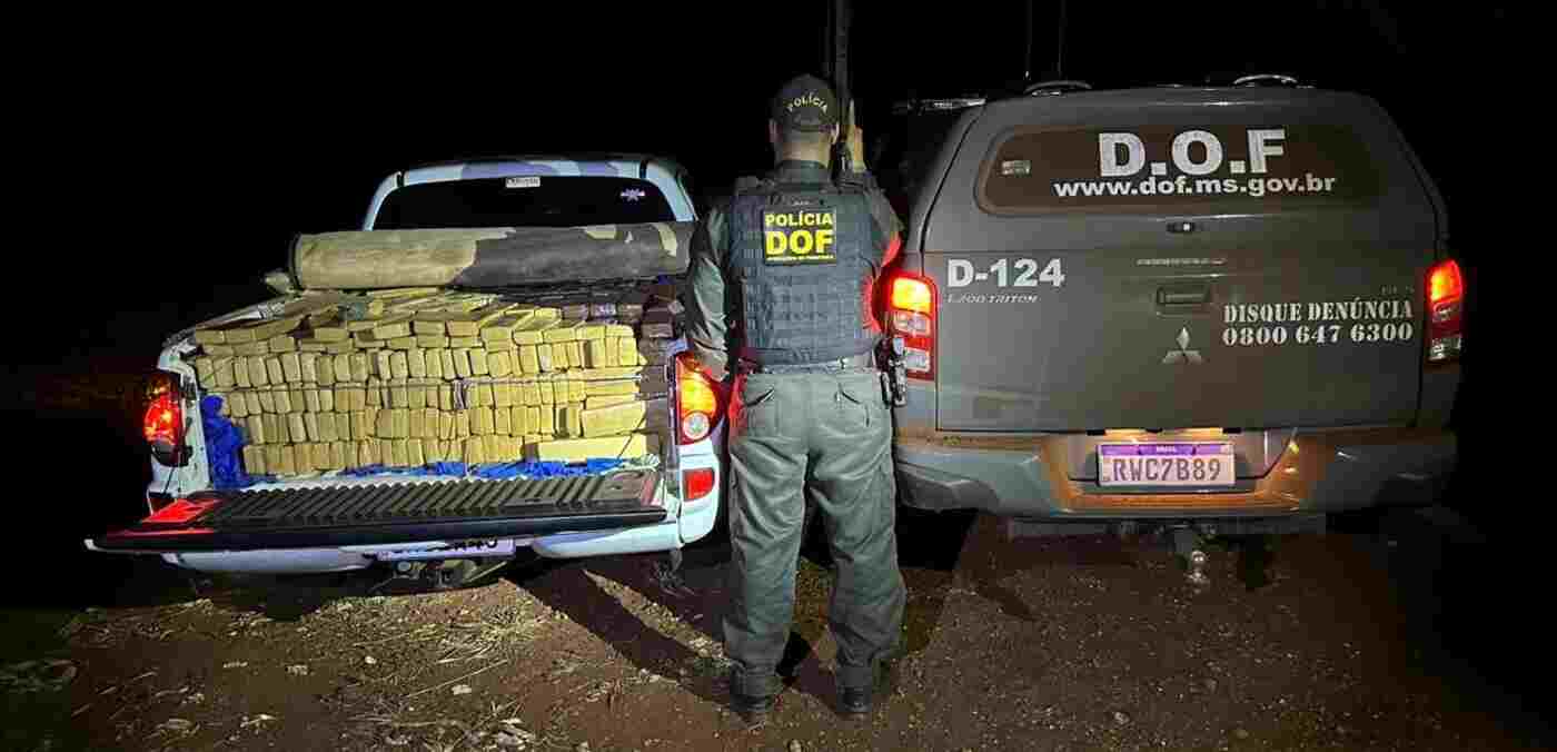 DOF-maconha-milho-dds-1