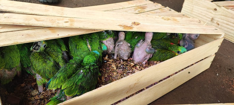 photo-2023-10-17-08-22-23 (1)