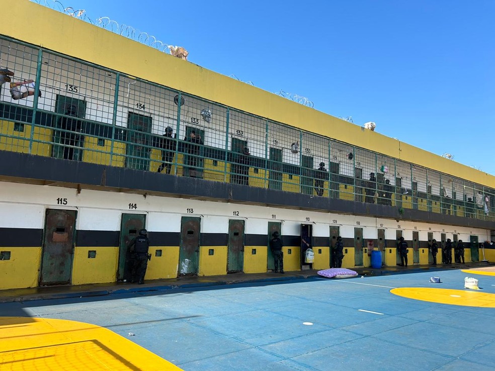 whatsapp-image-2023-10-16-at-10.17.47-1- (1)