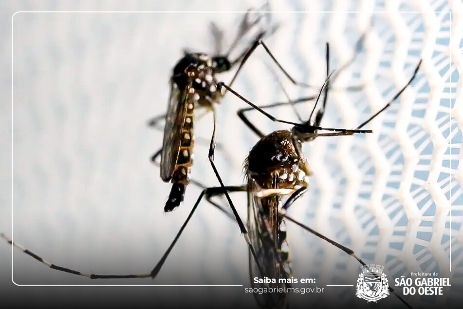 895bf26f66e1352c969d2192f49ab474