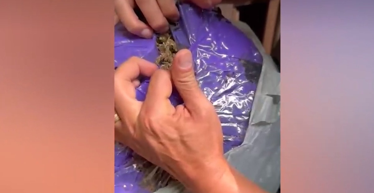 WhatsApp_Image_2024-04-05_at_15.38.18