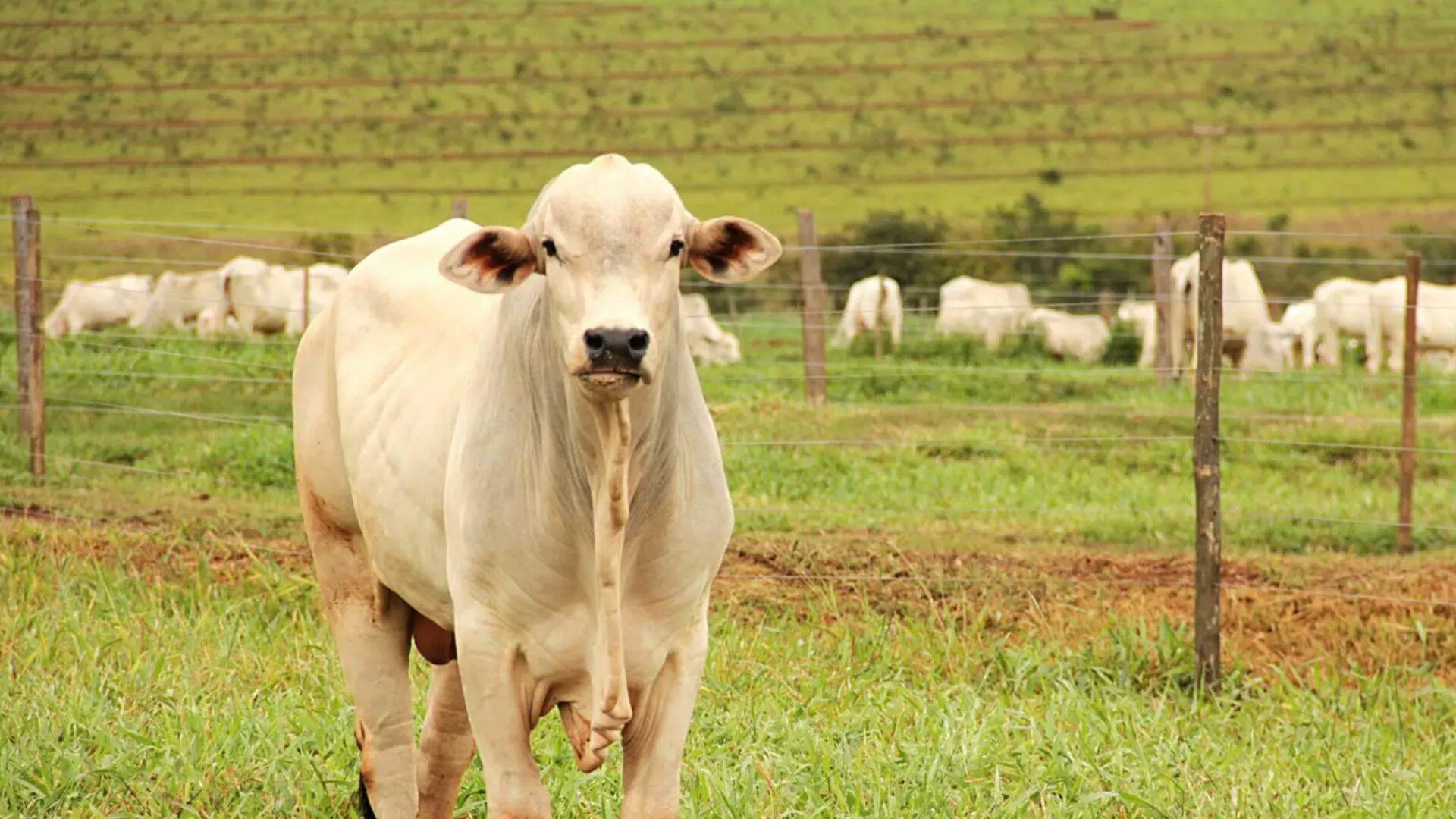 Canva-2024-05-11T092724.769 (1)