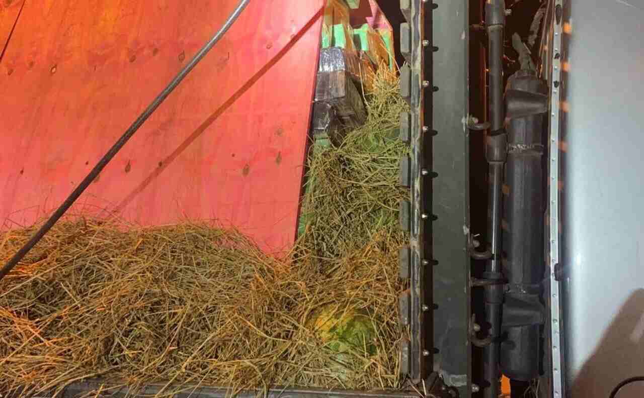 PRF-maconha-e-melancia (2)