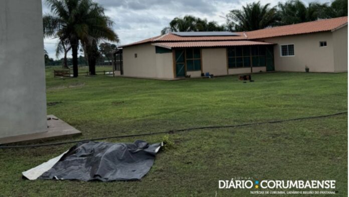 MixCollage-26-Dec-2024-11-38-AM-9426 (1)