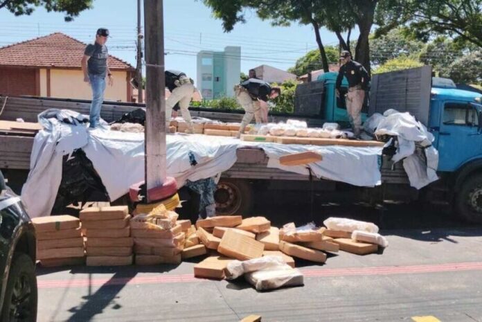 apreensao-dourados_1 (1)