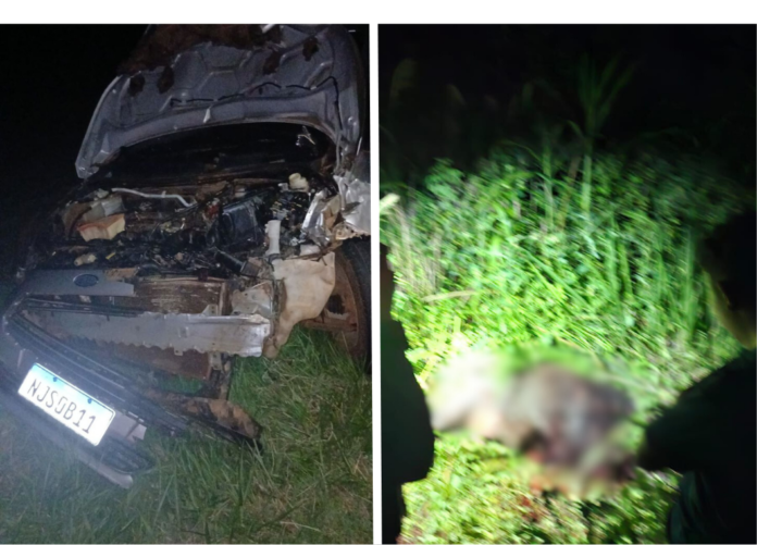 Inserir_um_título (18)