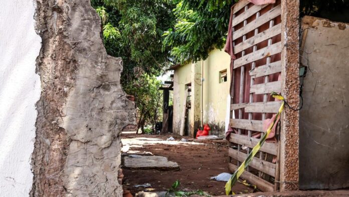 MixCollage-11-Feb-2025-10-48-AM-8632