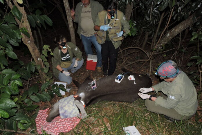 primeira-captura-duro-de-matar-foto-por-felipe-fantacin