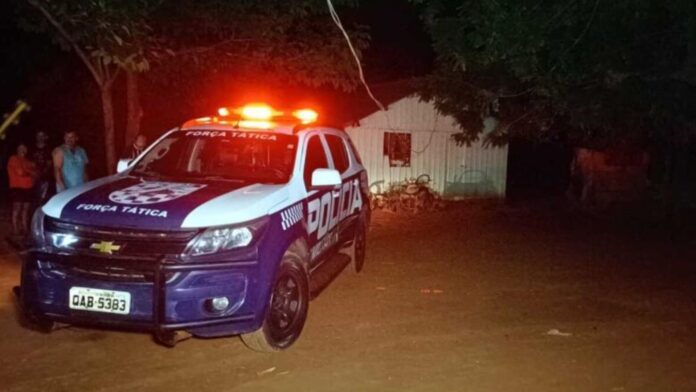 MixCollage-16-Mar-2025-09-04-AM-6089