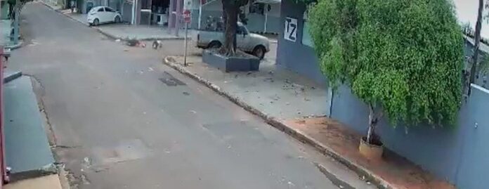 WhatsApp_Image_2025-03-16_at_11.17.39