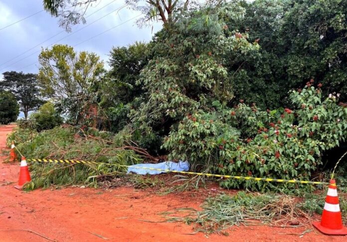 8ad4b221330a6109f87bacf8766e7ab4 (1)