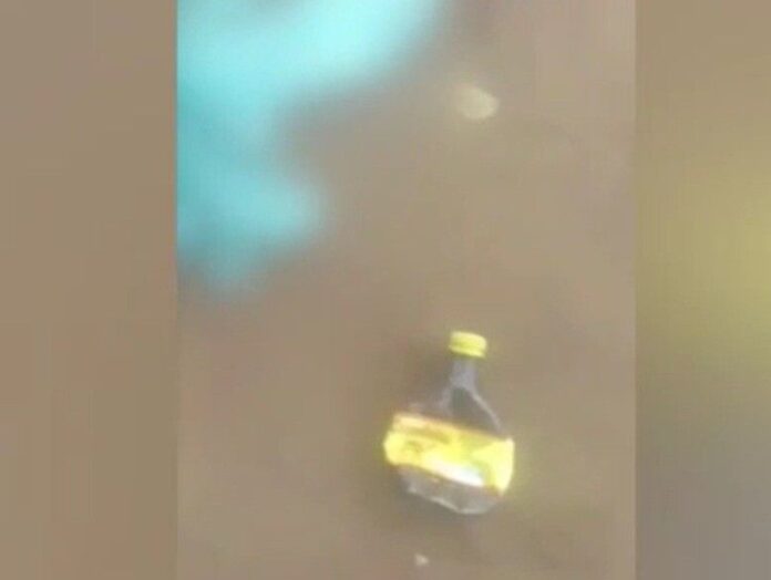 WhatsApp_Image_2025-04-06_at_09.32.28 (1)