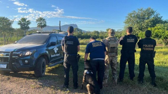 MixCollage-23-May-2025-10-01-AM-1346 (2)