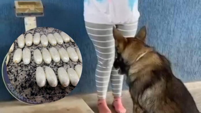 Boliviana-presa_Corumba_Cocaina_Foto-Reproducao-Receita-Federal