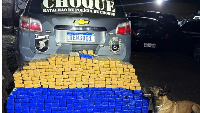 MixCollage-18-Jun-2025-09-30-AM-9123 (1)