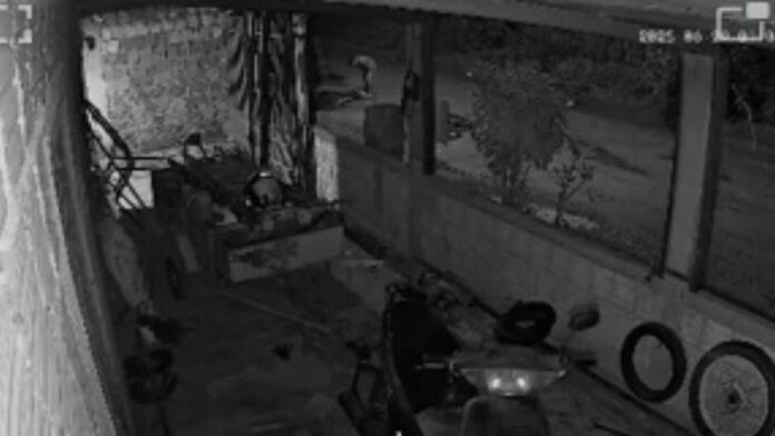 MixCollage-30-Jun-2025-10-54-AM-674