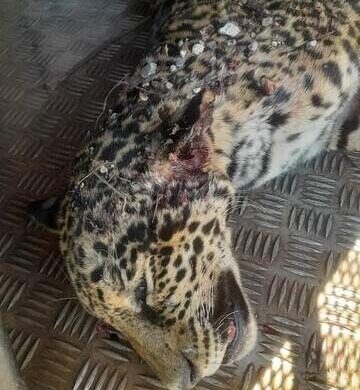 vtz2ll2grmtg-e1750876592862