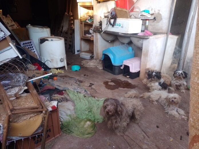 whatsapp-image-2025-06-18-at-09.34.59