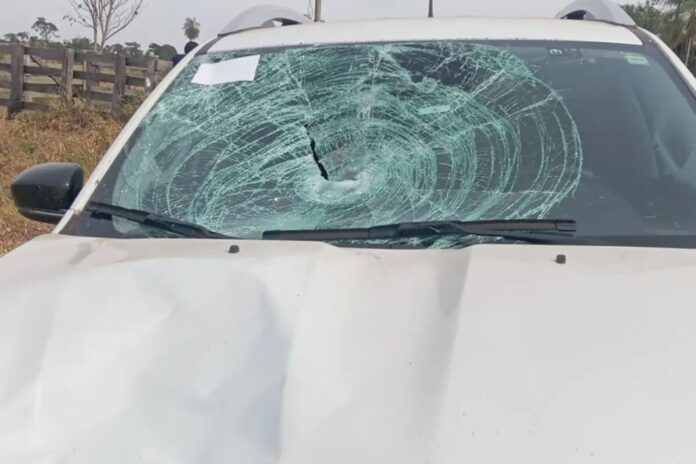 design-sem-nome-46- (1)