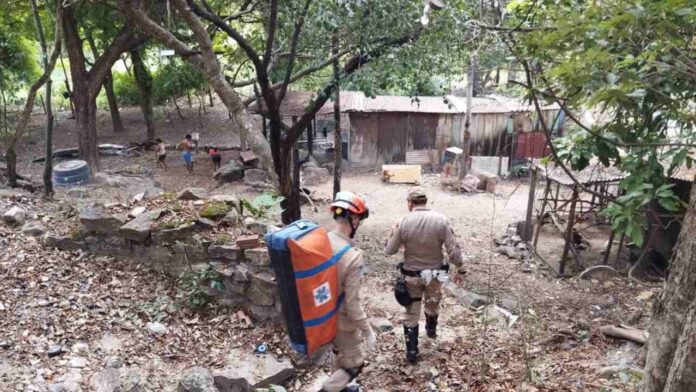 onca_ataque_bombeiros (1)