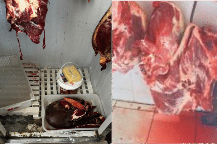 carnes-apreendidas (1)