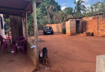 Mulher é morta a tiros pelo companheiro em Bandeirantes