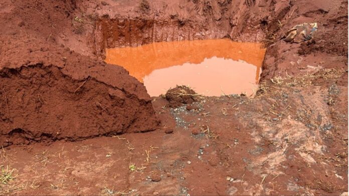 MixCollage-14-Nov-2025-09-26-AM-6700 (1)