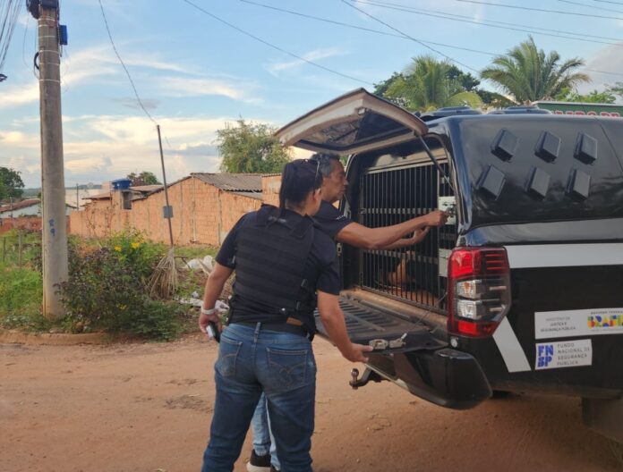 policia-civil-preso coxim
