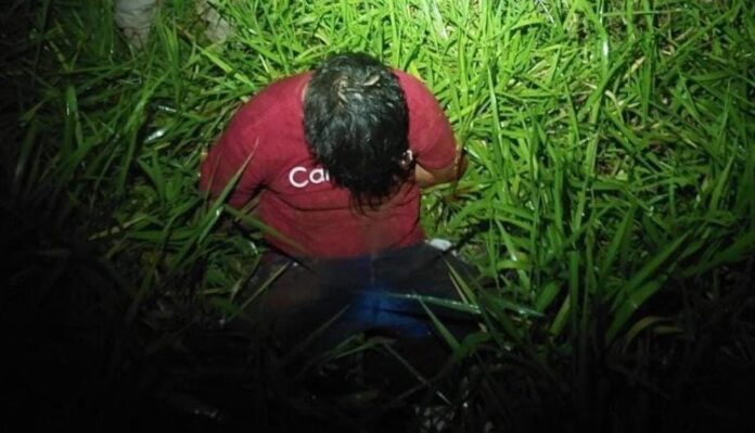 alex-cortado-1-750x430